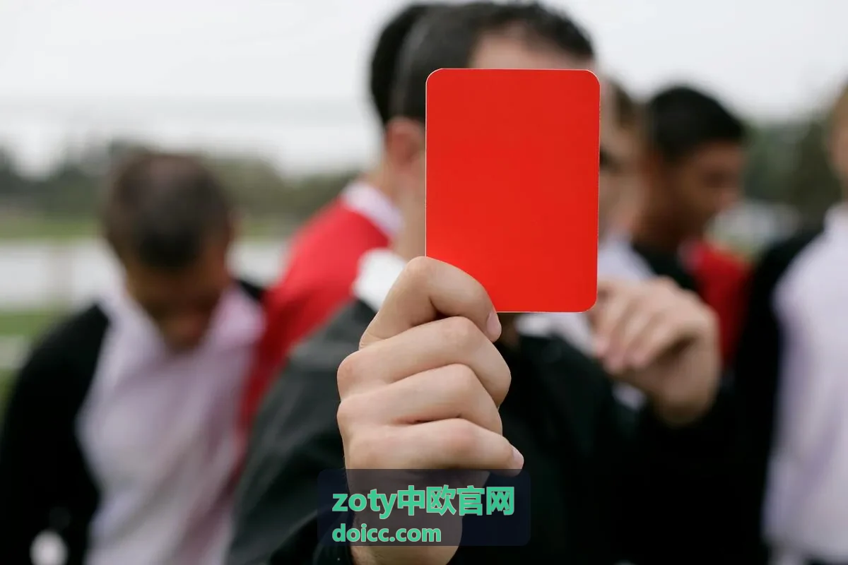 zoty中欧官网服务支持中的提醒订阅说明封面