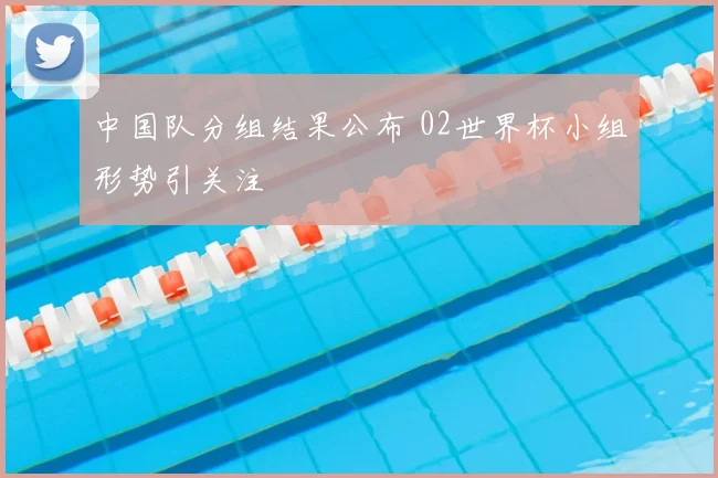 中国队分组结果公布 02世界杯小组形势引关注