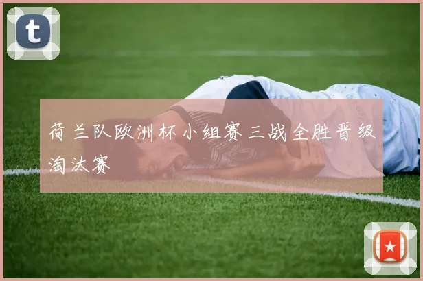 荷兰队欧洲杯小组赛三战全胜晋级淘汰赛